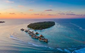 โซเนวา ฟูชิ